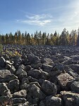 IMG_8090
