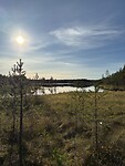 IMG_8113