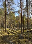 IMG_8034