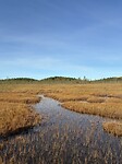 IMG_7991