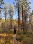 IMG_7936