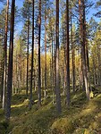 IMG_7928