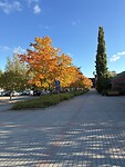 IMG_8485