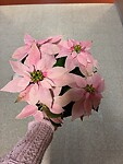 IMG_8501