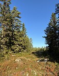 IMG_8581