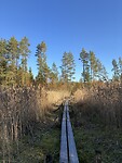 IMG_8600