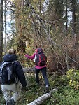 IMG_8631