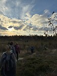 IMG_8705