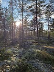 IMG_8686