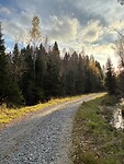 IMG_8710