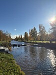 IMG_8977