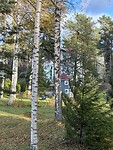 IMG_9123
