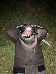 IMG_9170
