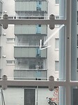 IMG_4547