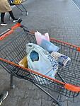 IMG_9468