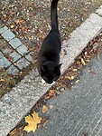 IMG_9488