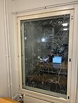 IMG_9499