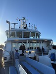 IMG_9549