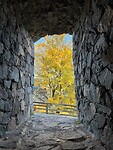 IMG_9573