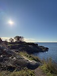 IMG_9591