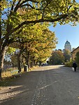 IMG_9552