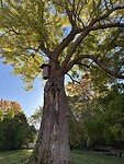 IMG_9625