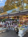 IMG_9821