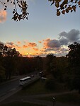 IMG_9928