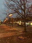 IMG_0186