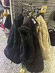 IMG_0179