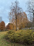 IMG_1752