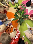 IMG_1794