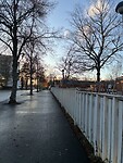 IMG_1905
