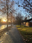 IMG_1907