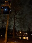 IMG_1925