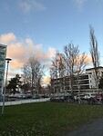 IMG_2031