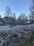 IMG_2054