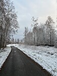 IMG_2138