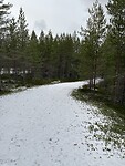 IMG_2271