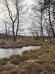 IMG_2277
