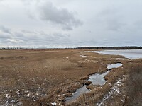 IMG_2283