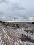 IMG_2296