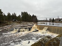 IMG_2345