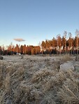 IMG_2405