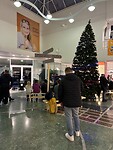 IMG_2870