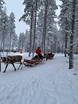 IMG_2940
