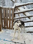 IMG_3161