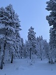 IMG_3339