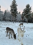 IMG_3345