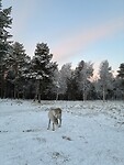 IMG_3354